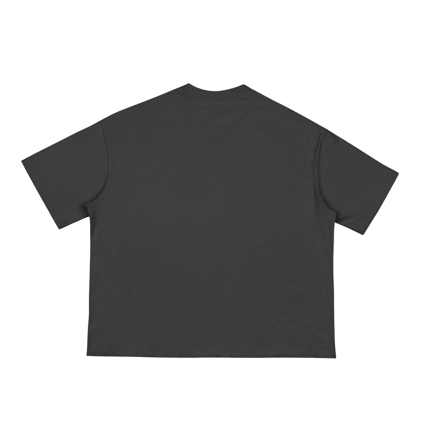 Not Flirting, Just Latin Boxy Tee